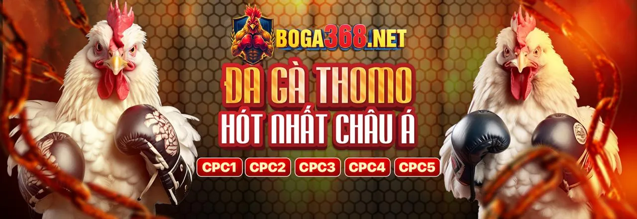Đá Gà Trực Tuyến xeng88 code